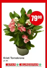 Eurospar kundeavis uke 32 Side 11