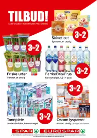 Eurospar kundeavis uke 32 Side 15