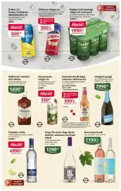 EcoFamily akciós újság hét 32 Oldal 10