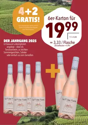 CITTI Markt (gültig bis 31-08)