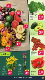 Netto Prospekt woche 33 Seite 3