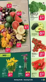 Netto Prospekt woche 33 Seite 3