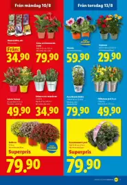 Lidl reklamblad vecka 33 Sida 20