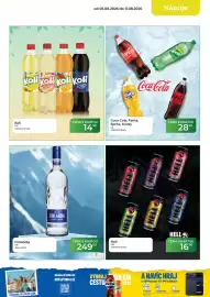 Tamda Foods leták týden 32 Strana 13