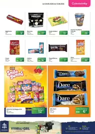 Tamda Foods leták týden 32 Strana 29