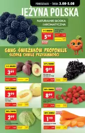 Biedronka gazetka tydzień 32 Strona 21