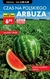 Biedronka gazetka tydzień 32 Strona 25