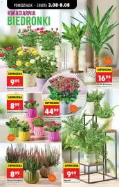 Biedronka gazetka tydzień 32 Strona 26