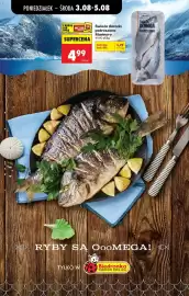 Biedronka gazetka tydzień 32 Strona 39