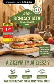 Biedronka gazetka tydzień 32 Strona 40