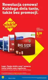 Lidl gazetka tydzień 32 Strona 30
