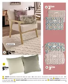 Catalogue GiFi page 13: Coussin €3,99, Tapis €24,95