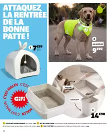 Catalogue GiFi page 22: Couchage pour animaux €7,99, Set sellerie chien €9,90