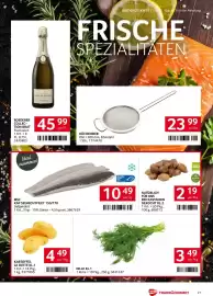 Transgourmet Flugblatt woche 33 Seite 27