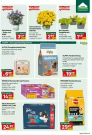 Lagerhaus Flugblatt Seite 5