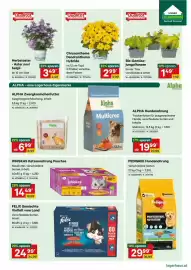 Lagerhaus Graz Land Flugblatt Seite 5