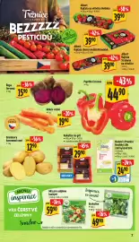 Albert leták | Supermarket Strana 13