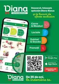 Catalog Diana Supermarket Pagină 13