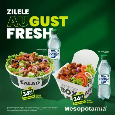 Mesopotamia (valid până la 9-08)
