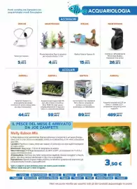 Volantino Joe Zampetti Pagina 11: ASKOLL Acquario completo di 120 cm €489,89