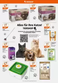 Müller Prospekt woche 32 Seite 11