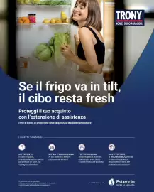 Volantino Trony Pagina 21