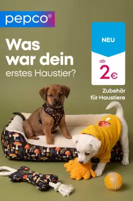 PEPCO (gültig bis 10-08)