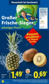 Lidl Prospekt woche 33 Seite 2