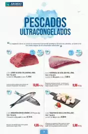 Folleto Abordo Página 2
