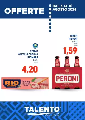Talento Professional Store (valido fino al 16-08)