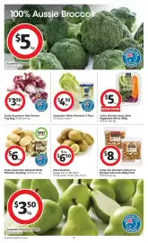 Coles catalogue week 32 Page 25