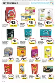 IGA catalogue week 32 Page 29