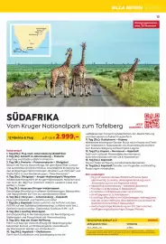 Billa Reisen Flugblatt Seite 13