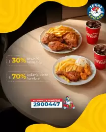 Catálogo Texas Chicken Página 1