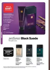 Catálogo Avon Página 100