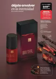 Catálogo Avon Página 101