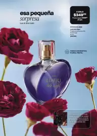 Catálogo Avon Página 71