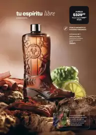 Catálogo Avon Página 95