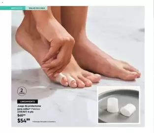 Catálogo Avon Página 108