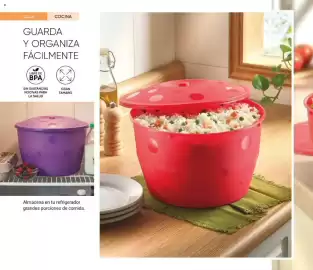 Catálogo Avon Página 32