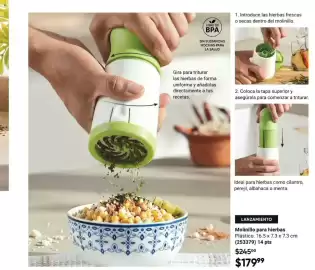 Catálogo Avon Página 43