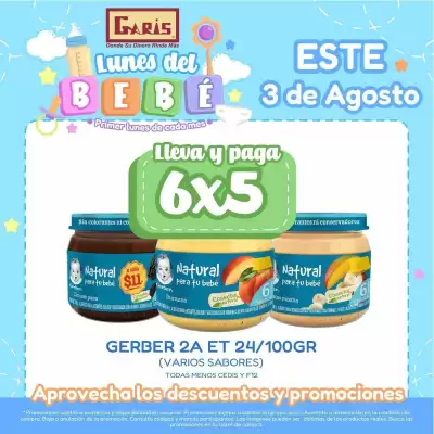 Garis (válido hasta 3-08)