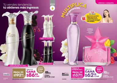 Catálogo Fuller Página 11