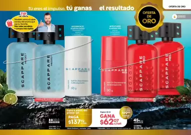 Catálogo Fuller Página 12