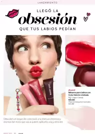 Catálogo Mary Kay Página 22
