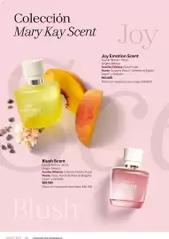 Catálogo Mary Kay Página 56