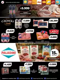 Catálogo Supermayorista Vital semana 32 Página 9