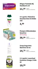 Plein.nl folder Pagina 5