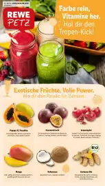 REWE PETZ Prospekt woche 32 Seite 1
