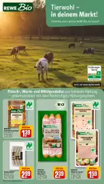 REWE PETZ Prospekt woche 32 Seite 15